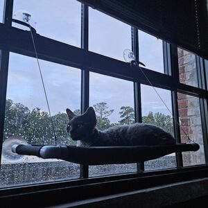 Meet your Posher, Ash